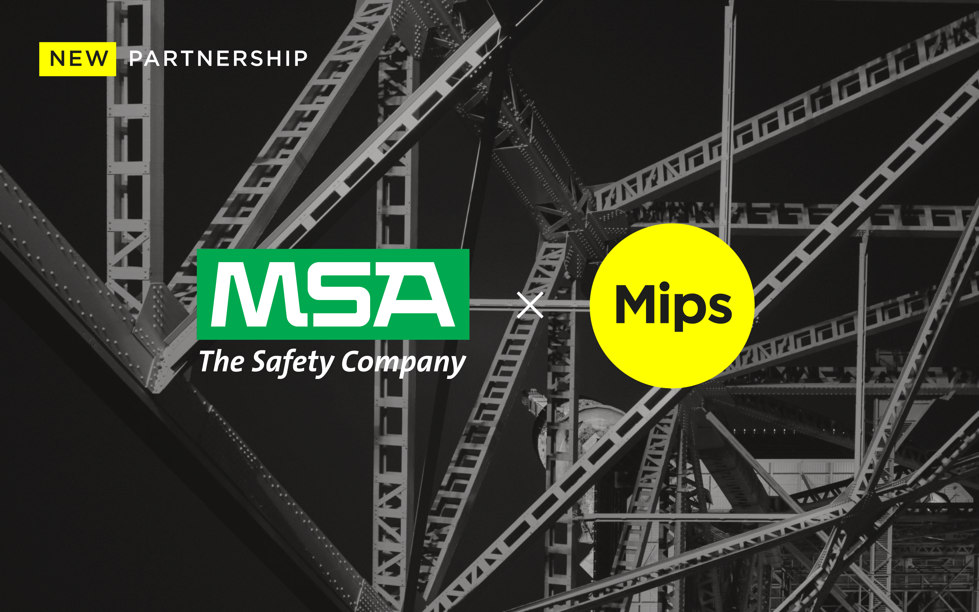 MSA The Safety Company Brasil